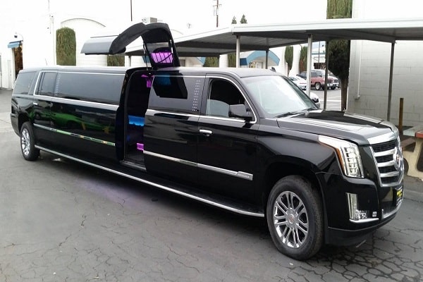 limo bus rental